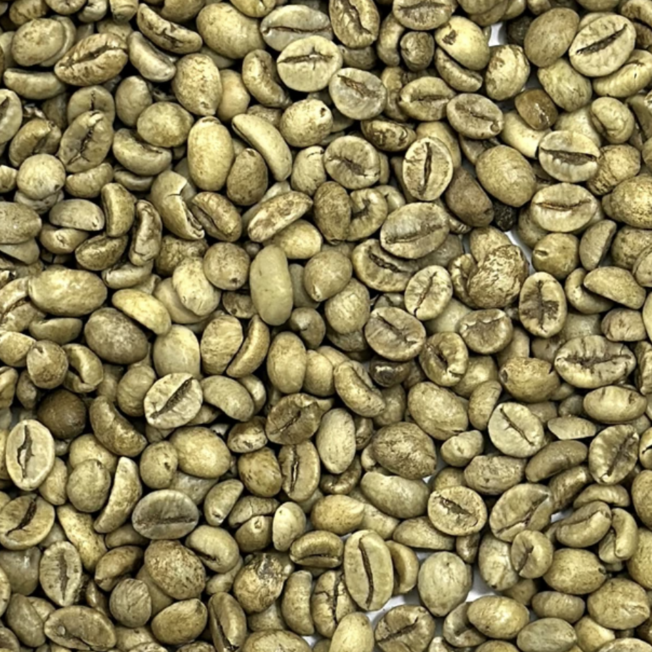 Robusta Coffee